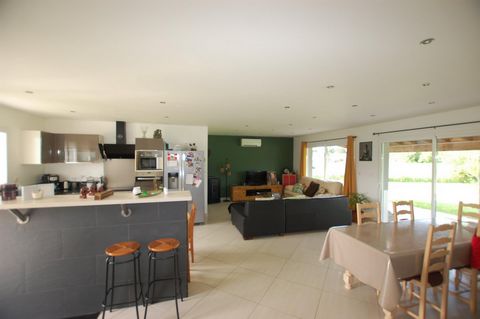 photo no. 2