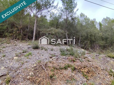 Spécial Investissement - Terrain Naturel et Forestier