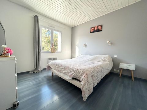 photo no. 11