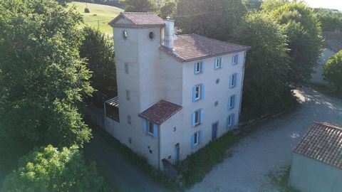 photo no. 3