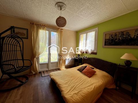 photo no. 11