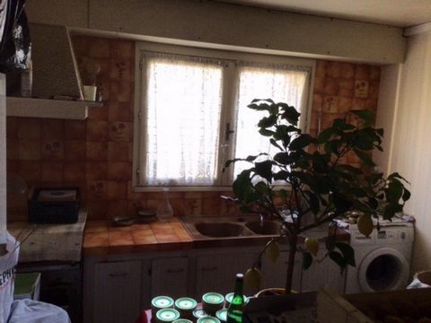 photo no. 12
