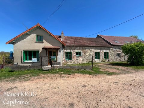 Maison de 378,5 m² à fort potentiel sur grand terrain Idéale projet de gîte ou vie à la campagne
