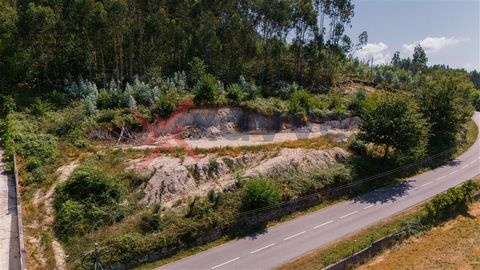 Terreno para venda com 4.100 m² localizado na freguesia de Pinheiro, em Vieira do Minho, ideal para construção de casa de campo ou projeto turístico. Este lote oferece um ambiente tranquilo e uma paisagem deslumbrante, com vistas panorâmicas para a n...