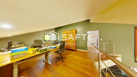 photo no. 13