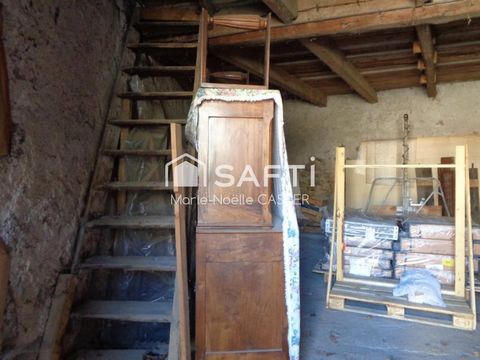 photo no. 9