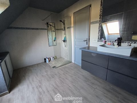 photo no. 11