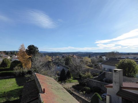 photo no. 14