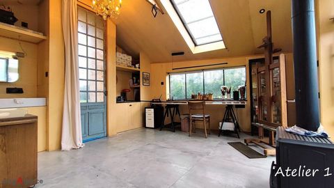 photo no. 10