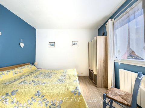 photo no. 6