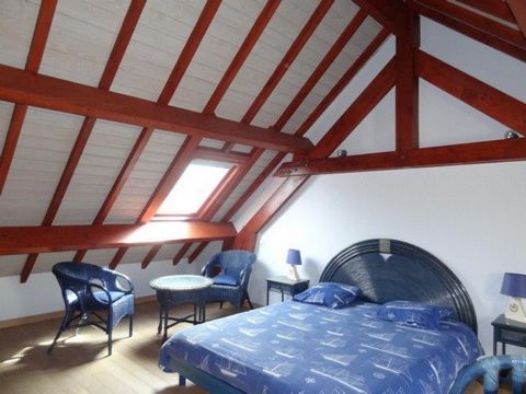 photo no. 19