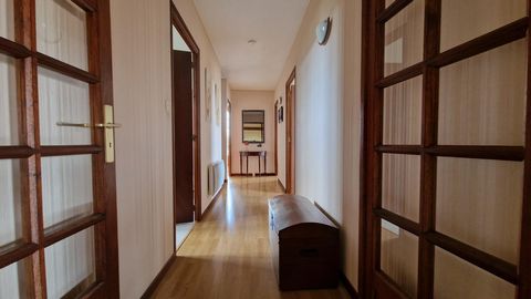 photo no. 7