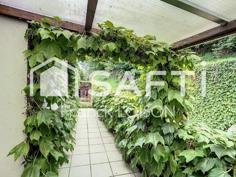 photo no. 17