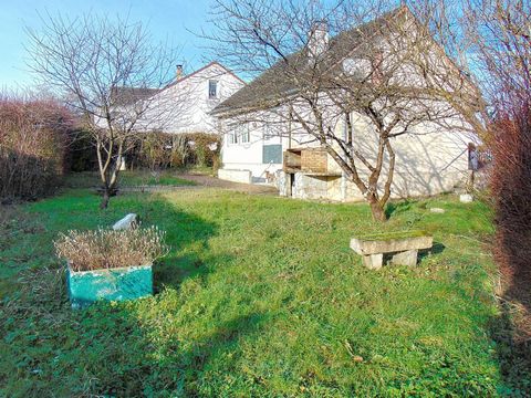 photo no. 2