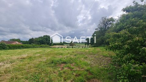 photo no. 1