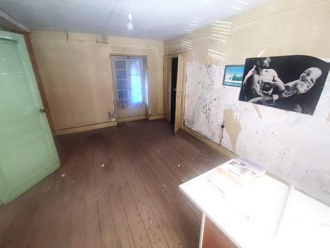 photo no. 3