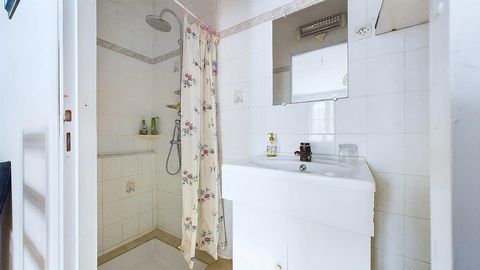 photo no. 5