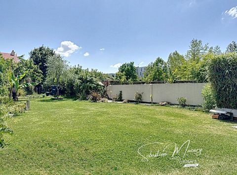 photo no. 13