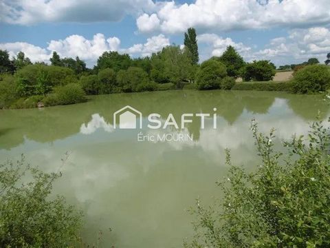 Très bel étang avec une grande surface d'eau.