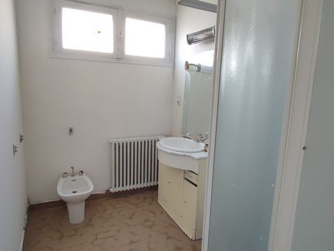 photo no. 13