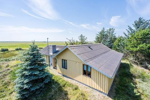 Questo bellissimo cottage a Blåvand si trova su una piccola collina con vista panoramica diretta sul prato protetto verso Hvidbjerg Strand. Il cottage è decorato con colori vivaci e con mobili che si adattano allo stile. Cucina e soggiorno sono in co...