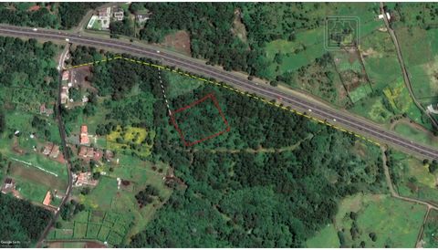 LAND (Rustic Building) with 7,040 m2 of total area located at the beginning of the municipality of Lagoa (Azores), between the parish of Livramento (Ponta Delgada) and the parish of Nossa Senhora do Rosário (Lagoa). It is a wooded land (forest) that,...