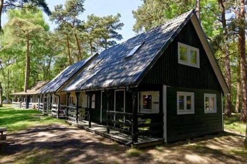 W unikalnej lokalizacji i zabudowie nawiązującej do stylistyki skandynawskich domów drewnianych powstał ten przyjazny rodzinie ośrodek wypoczynkowy. To wymarzone miejsce wypoczynku dla wszystkich zmęczonych wielkomiejskim gwarem, doceniających piękno...