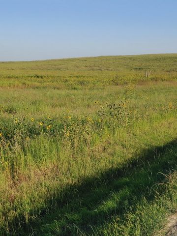 A Hunters dream! This CRP land is Located in Sherman County Kansas. It Consists of 2 parcels that Adjoin each other! 125 acres in the North parcel and 144.9 in the South parcel. The CRP contracts ends 9/30/25 with a rental rate of $31.41 per acre or ...
