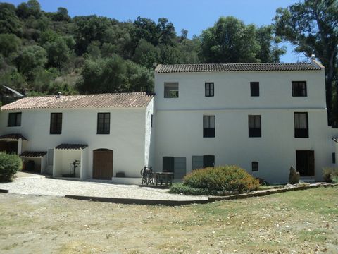 Molino Taponero is a charming ex flour mill situated by the river Genal near Gaucin. The Molino is one of the most interesting buildings in the area with parts of the structure dating from Moorish times. Set in a privileged, private and charming loca...