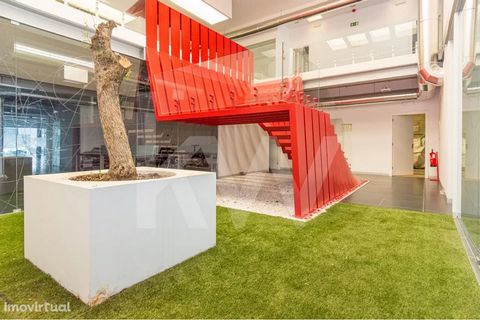 Offices in Property with three floors, with a total area of 1015.47 m2. A property decorated with modern lines, in open-space, which is divided into spaces adjusted to both individual work and coworking work. Especially dedicated to Services, it allo...