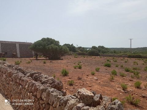 MENORCA IS A NEARBY PARADISE. Developable land for sale in Alaior, with an approximate area of 24,000 m² and an existing construction of about 200 m² used as a barn. This land is part of the subdivision under development of the new general plan of Al...