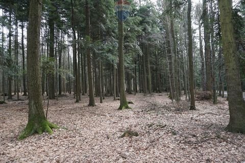 KRYSTIAN STAŃCZYK Lead Agent Tel: +48   Location: Budzów Suski County Woj. Lesser poland voivodeship For sale 1 of 13 forest plots No. 1919/21, with an area of 0.1200 ha. Forest between 30-50 years. Mainly pine, fir and larch. The plot is flat, witho...