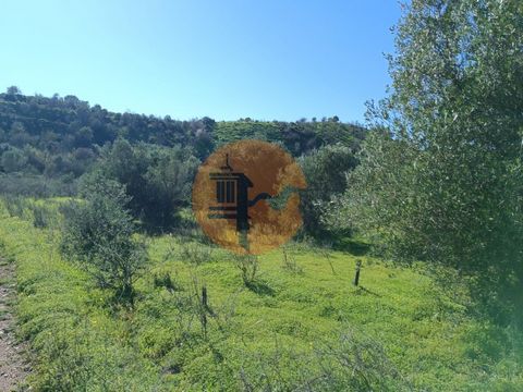 Rustic land with 6,520 m2, in Pisa Barro - Castro Marim - Algarve. Good access. Close to the Pisa Barro Dam. It has a water line, next to the land. Excellent panoramic view of the Serra Algarvia. Flat part. Excellent sun exposure. The land has trees....