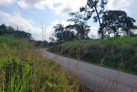 Ce joyau situé dans le district le plus au sud du Belize - une propriété de 16 hectares (40 acres) aux possibilités infinies. Niché entre la jonction de San Pedro Columbia et la communauté de Mafredi, à seulement 30 minutes de route de la ville de Pu...
