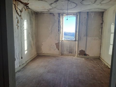 photo no. 10