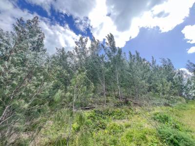 Located in St. Georges. Welcome to Sugar Loaf Hill, a prestigious and exclusive real estate opportunity located in the stunning north shore of Bermuda. This unique property boasts approximately 4 acres of prime land with breathtaking panoramic views ...