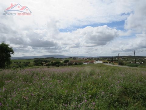 Land with feasibility of construction located in the parish of Moita dos Ferreiros, namely on the main road that connects Fontelas (municipality of Lourinhã) to the village 'Cantarola' (Also municipality of Lourinhã). The land faces the main road whe...