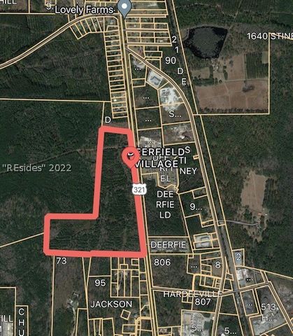 This 2 acre parcel of commercial property located off of hwy 321 just north of downtown Hardeeville, SC with close proximity to I-95 and exits 5 & 8 is just minutes from Savannah, Hilton Head, and the Savannah International Airport. Ideal for a car w...