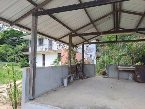photo no. 2