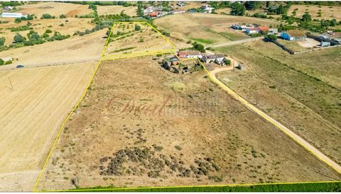 Deal Homes presents, Land with 19,760 m² of total area, with ruin with 337.50 m², without habitability conditions. Mixed property, with two rustic areas and one urban. It has canal water from the dam, piped water from the municipal grid and electrici...