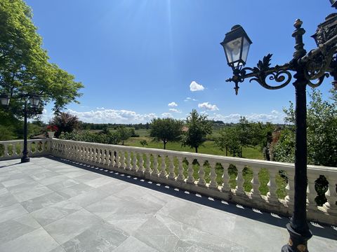 photo no. 8