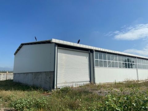 Warehouse with an area of 1920 sq. m. in a fenced regulated plot with an area of 5000 sq. m. M! The plot is fenced with three-phase electricity from its own power substation! Maximum electrical power - 400.00 kWh! Suitable for warehouse or production...