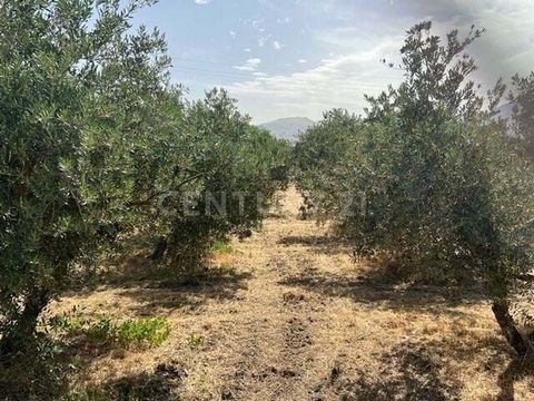 Beautiful property located in the municipality of La Zubia, but a few meters from Ogíjares, very close to the future VAU-09, which will connect the southern area of Granada with the southern Ronda, an area with great potential and will surely gain mu...