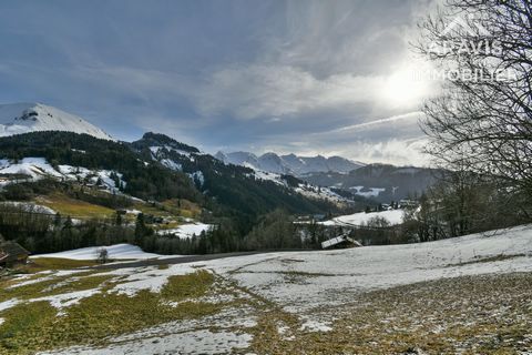 photo no. 10
