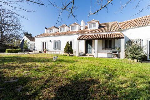 Quinta da Boavista in Azeitão – Exclusivity, Tradition, and Nature Discover the magnificent Quinta da Boavista, a unique property located in the heart of Azeitão, where the charm of nature blends with comfort and sophistication. Set on a 12-hectare p...