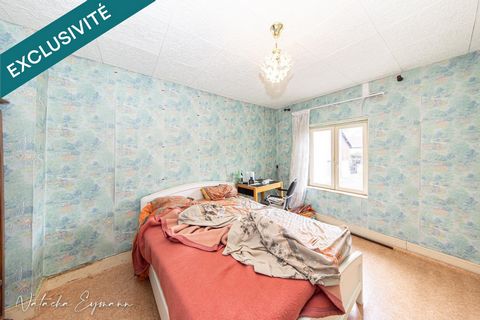 photo no. 11