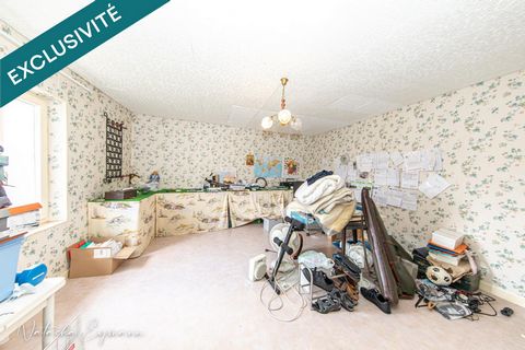photo no. 12