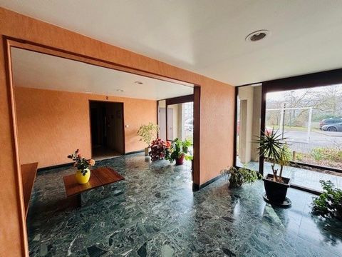 photo no. 12