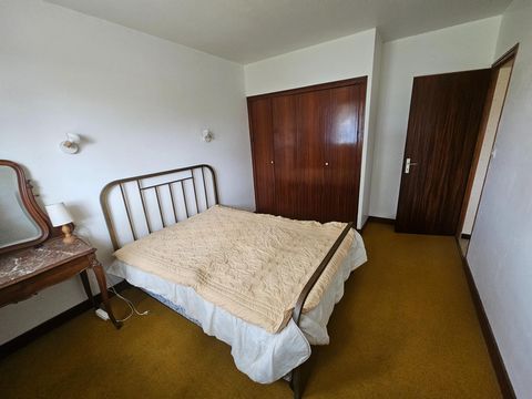 photo no. 11