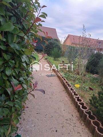 photo no. 10